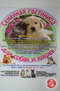 Предложение: семейная гостиница для животных в Краснодаре, Животный мир