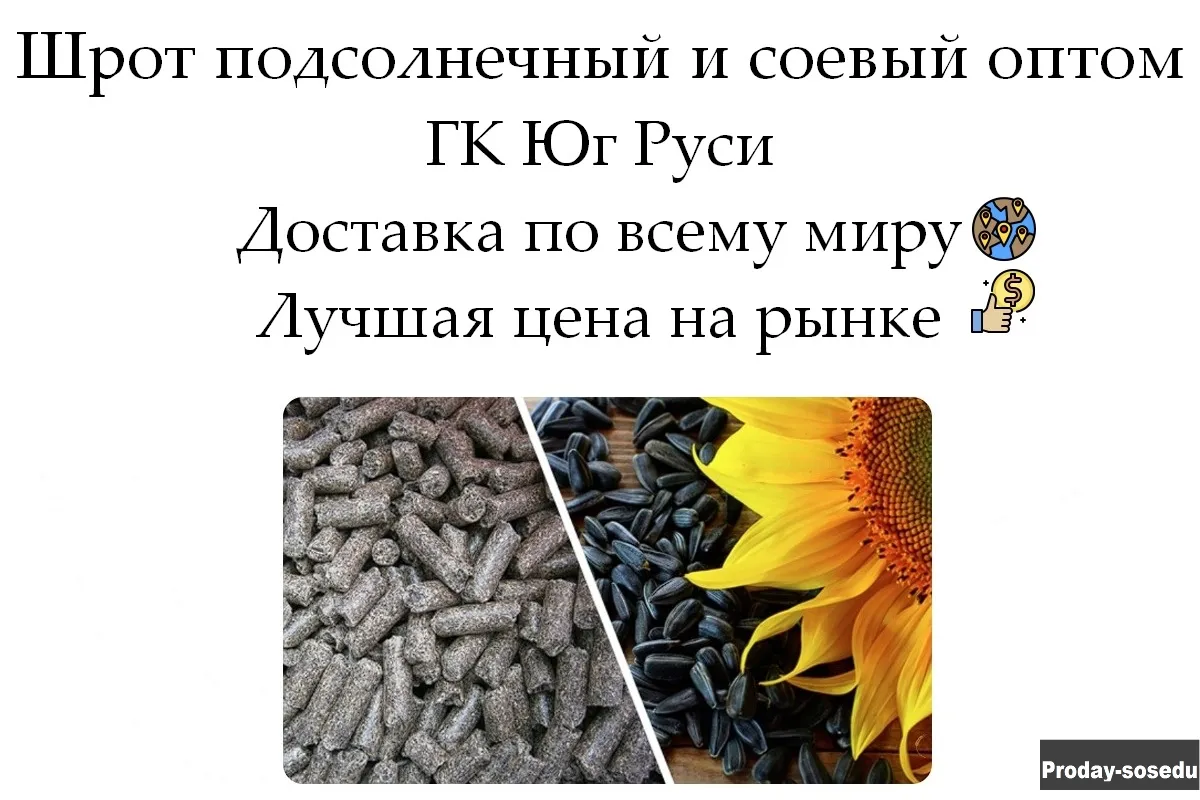 Шрот подсолнечный и соевый оптом от ГК Юг Руси