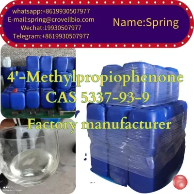 98.5% 4'-Methylpropiophenone Supplier Cas 5337-93-9 factory in China (spring@crovellbio.com)