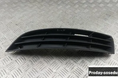 Volkswagen, Решетка в бампер, (Passat (B6) [2005-2011])