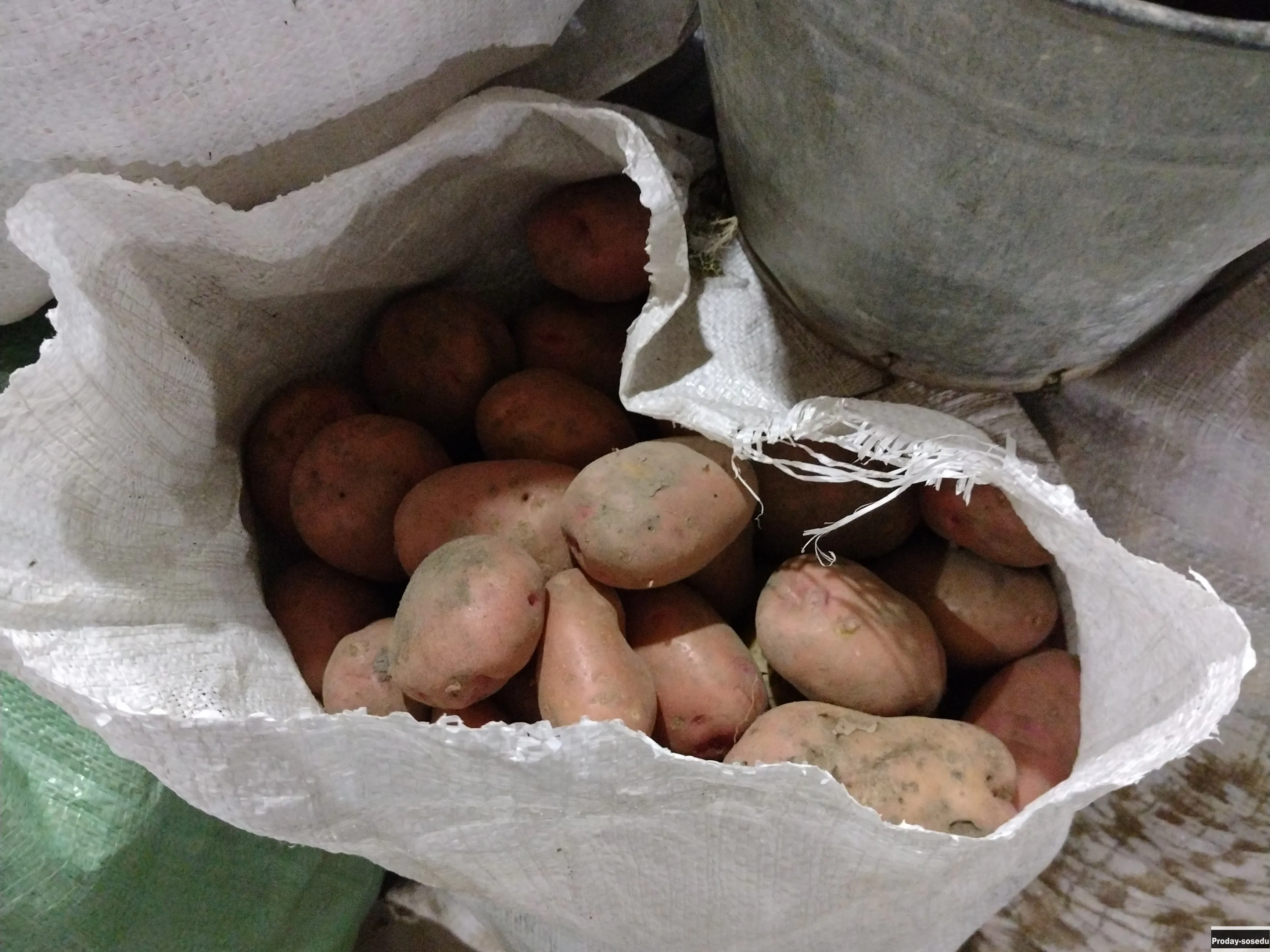 Картофель крупный ,мелкий продам