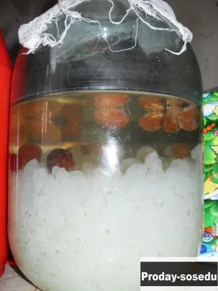 Морской рис