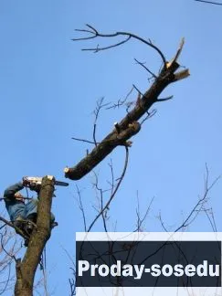 Демонтаж домов, зданий, сооружений.