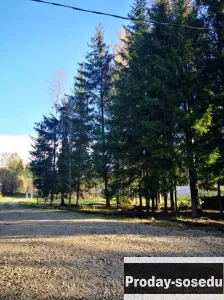 Участок для строительства дачи.