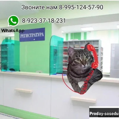 Ветеринар он- лайн