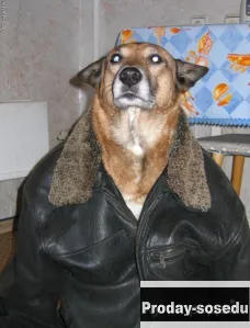 Петров