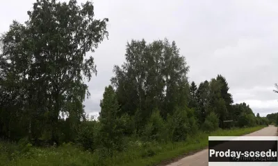 Участок 50 сот. (ИЖС) деревня Лбовские хутора Тверская область
