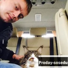 Знакомства, Парень ищу девушку, Костя, 35 лет, рыбы, Москва