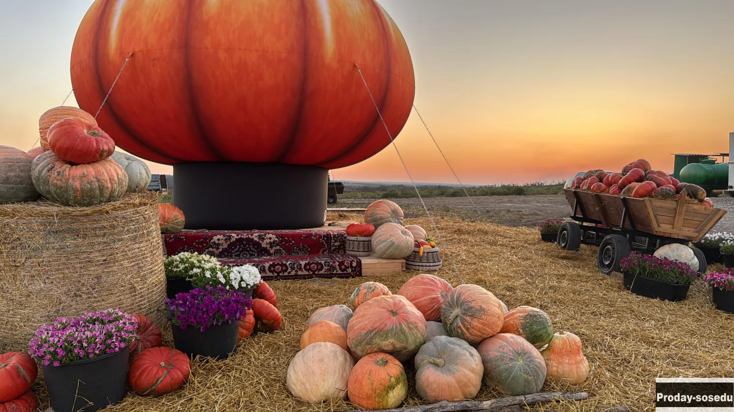 Надувные фигуры ФРУКТЫ