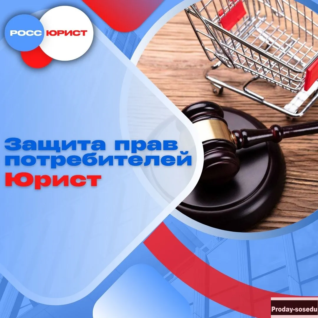 Юридические услуги. Помощь участникам СВО