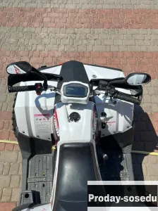 Forte Braves 200