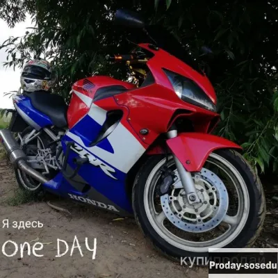 Honda cbr 600 f4i