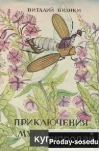 В.Бианки. Приключения муравьишки. 1981 год, Хобби, Отдых, Спорт, Книги и журналы, Книги, Москва