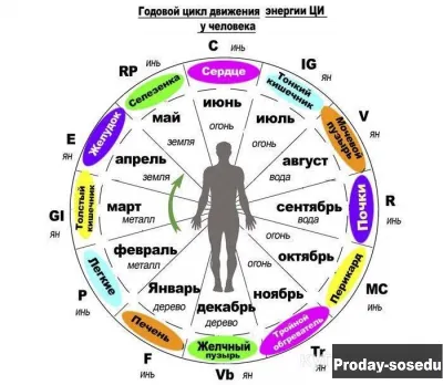 Reiki - massage, Услуги и предложения, Косметические и массажные