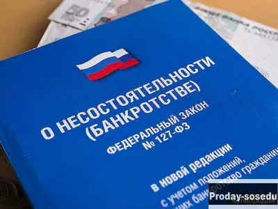 Банкротство юридических и физических лиц, Услуги и предложения