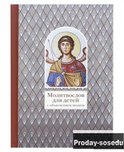 Молитвослов для детей с объяснением молитв (Никея), Хобби, Отдых, Спорт, Книги и журналы, Москва