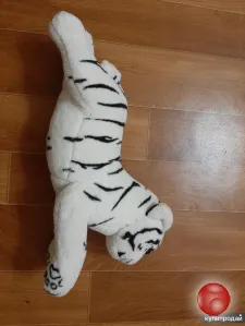 Тигр