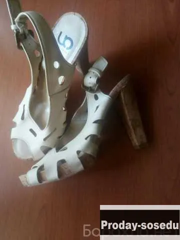Отдам даром: туфли CentrShoes в Москве