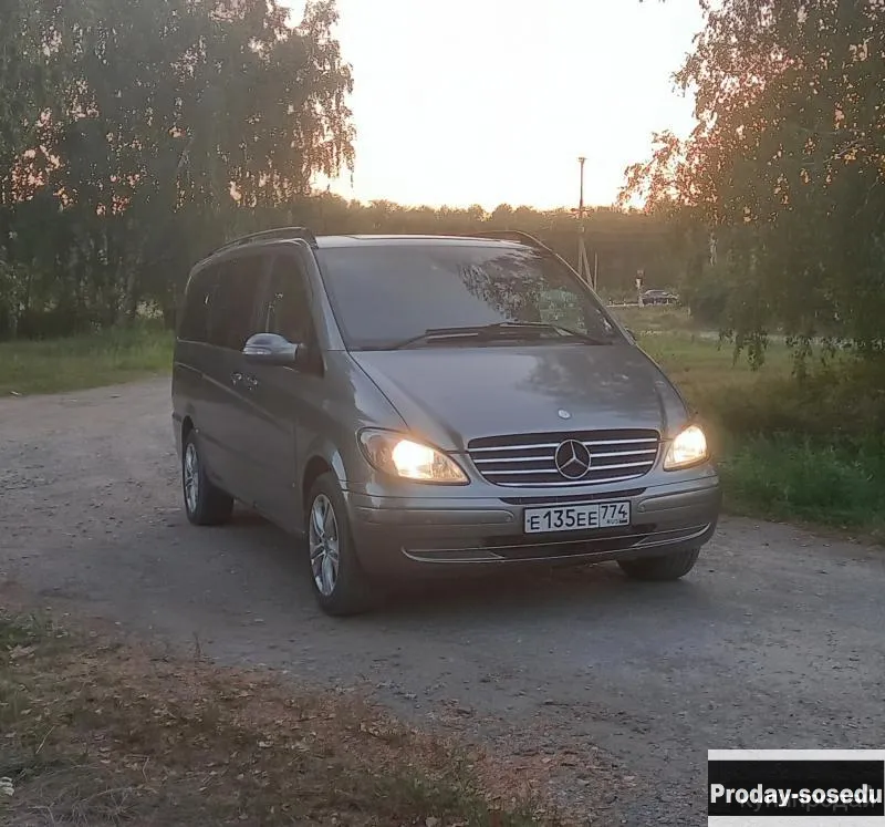 Mercedes Viano, 2004