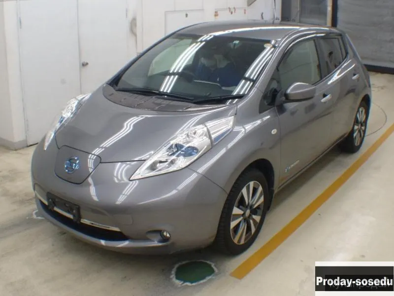 NISSAN LEAF 30X THANKS EDITION, 2017 под заказ, Leaf