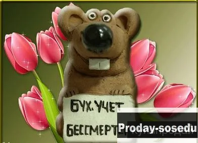 Ваш личный профессиональный бухгалтер, Услуги и предложения