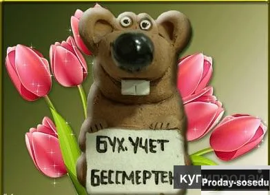 Ваш личный профессиональный бухгалтер, Услуги и предложения
