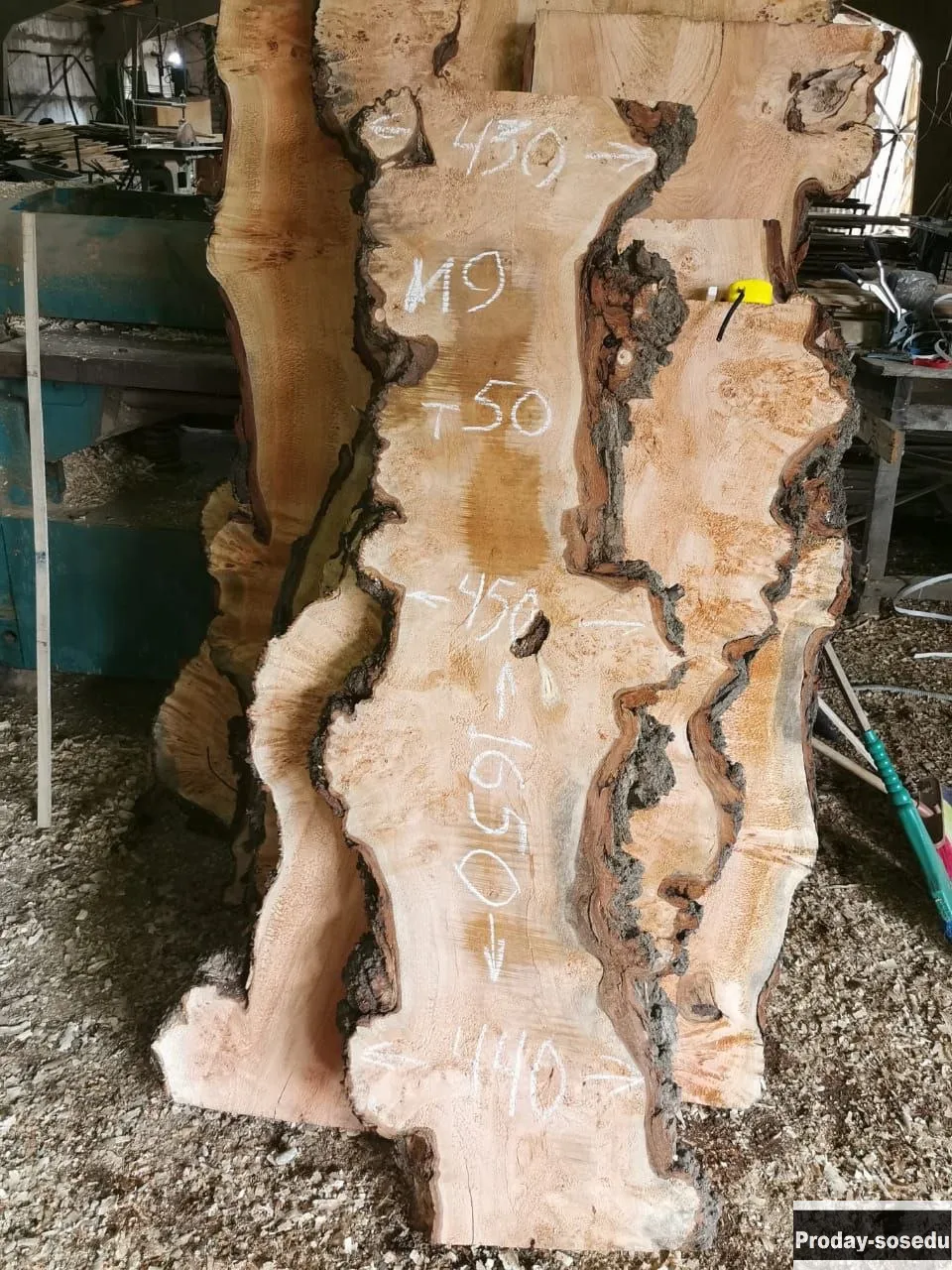 Слэбы из дуба, шпальтового бука, капового тополя, вербы, капового карагача, ясеня.