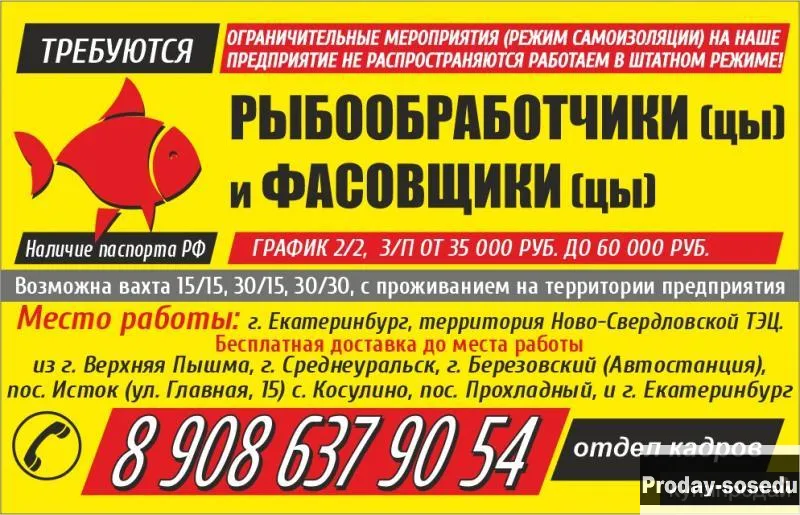 Рыбообработчики з/п от 35 000 до 60 000 (вахта от 15 до 30 дней), Вакансии, Рабочий персонал