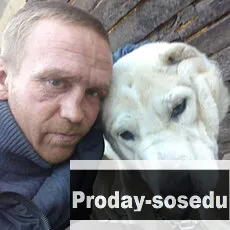 Парень ищу девушку, Игорь, 35 лет, близнецы, Красноярск