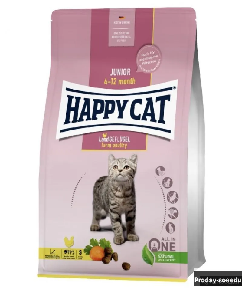 Корм для кошек, Животные, Воронеж