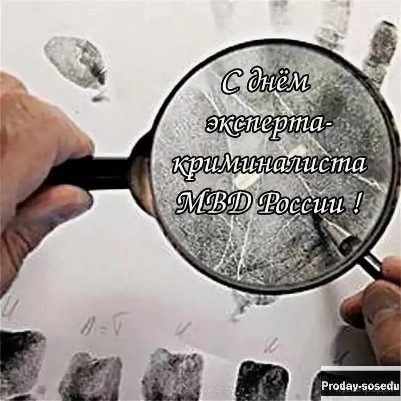 Рецензия специалиста на заключение эксперта, Другие виды услуг