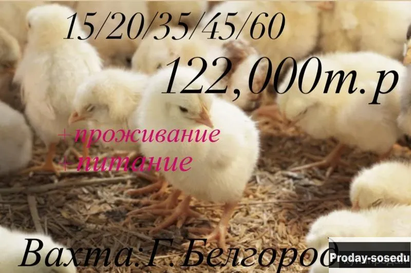 Упаковщик, Рабочий персонал, Другое