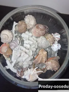 Аквариум круглый 10 л, Животные, Воронеж