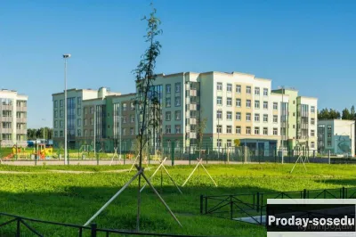 1-к квартира, 28 м2, 4/4 эт., Недвижимость, Квартиры, Продам, Новострой, Санкт-Петербург
