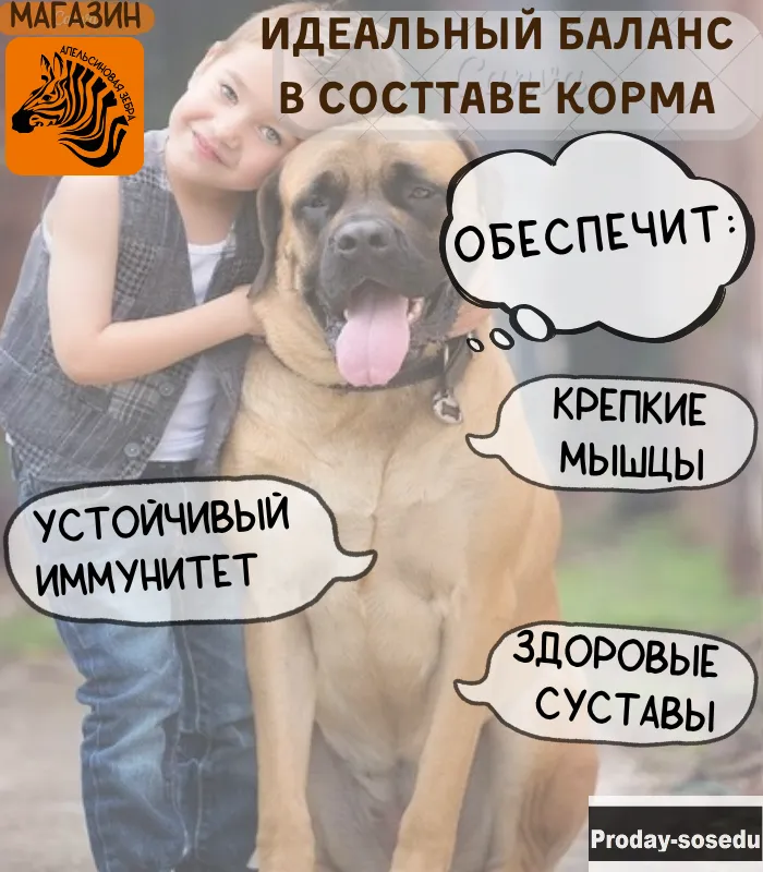Сухой корм для собак.