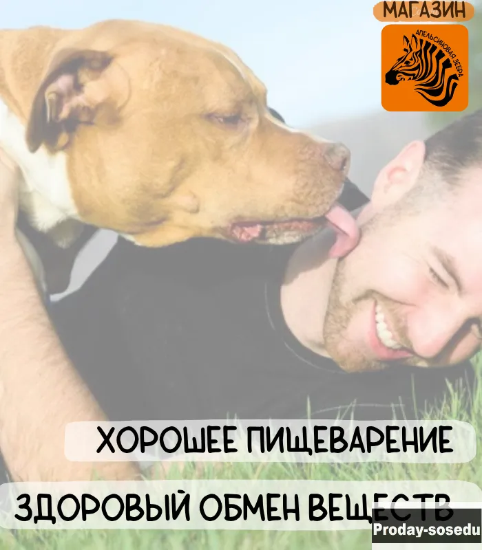Сухой корм для собак.