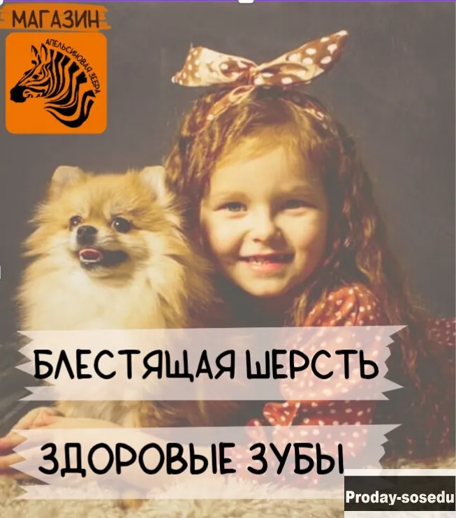 Сухой корм для собак.