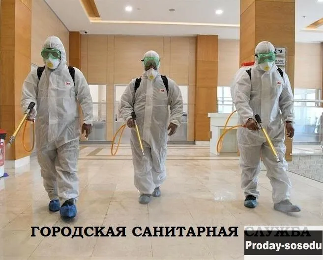 Уничтожение тараканов клопов